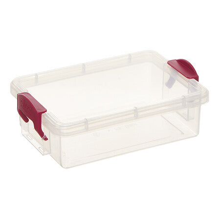 Mini contenitori trasparenti con chiusura a clip – assortiti