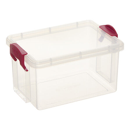 Mini contenitori trasparenti con chiusura a clip – assortiti
