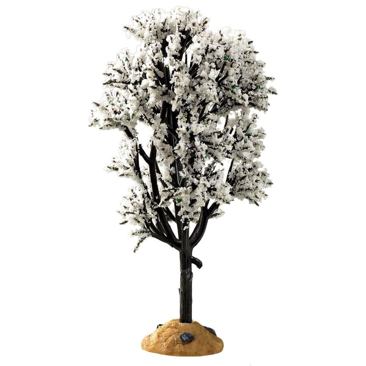 White Hawthorn Tree