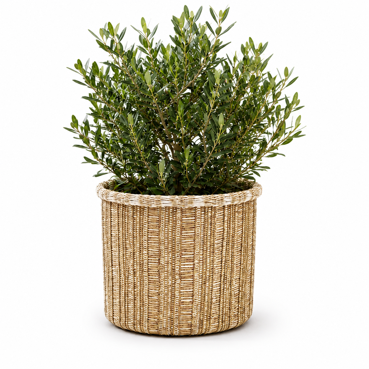 Cesto portavaso rotondo intrecciato H23xD23cm – Danfield white