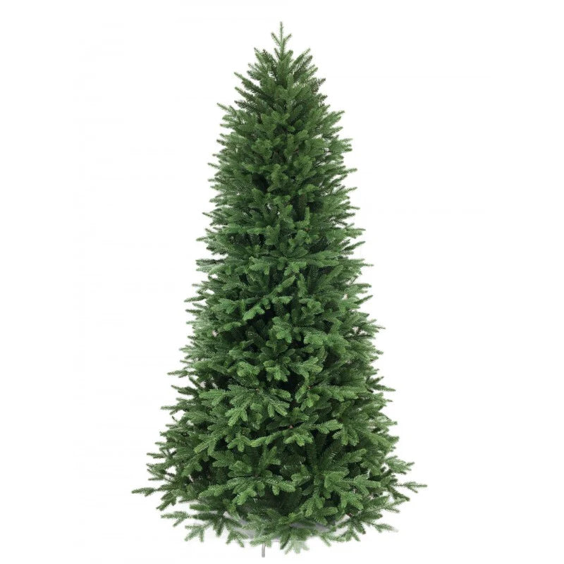 albero marly