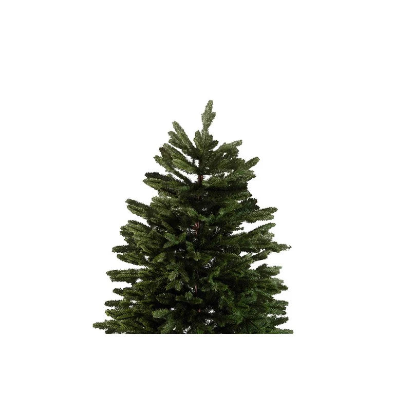 albero marly