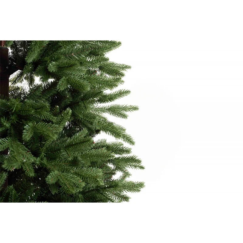 albero marly