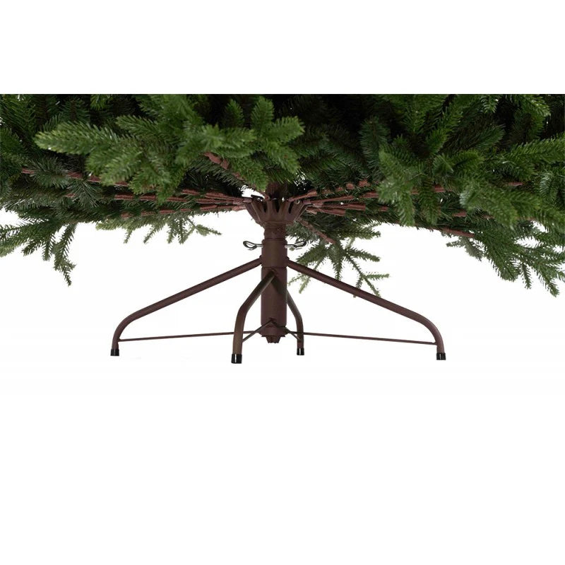 albero marly