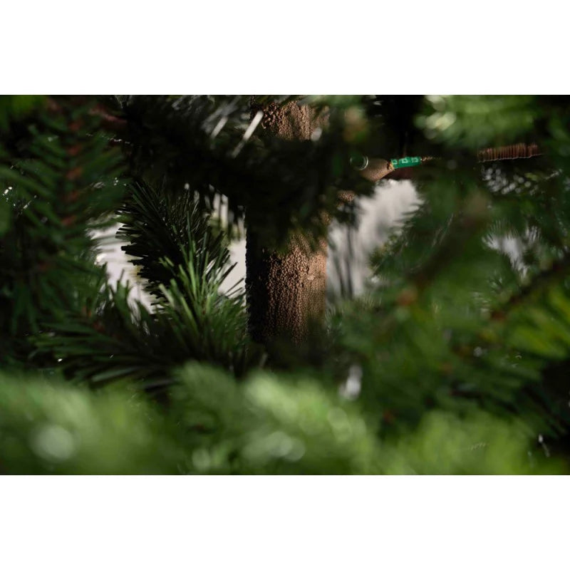 albero marly