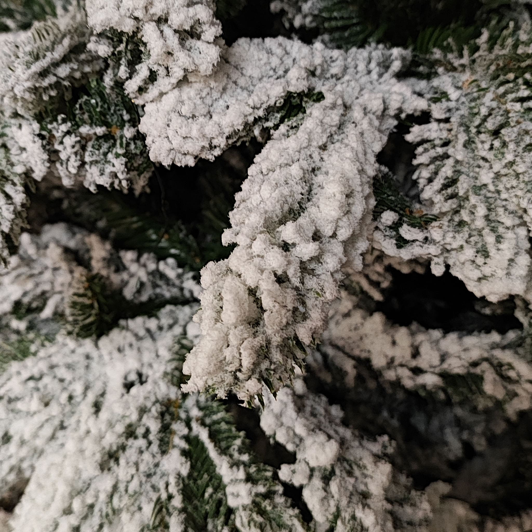 Albero di Natale Baden innevato 150 cm