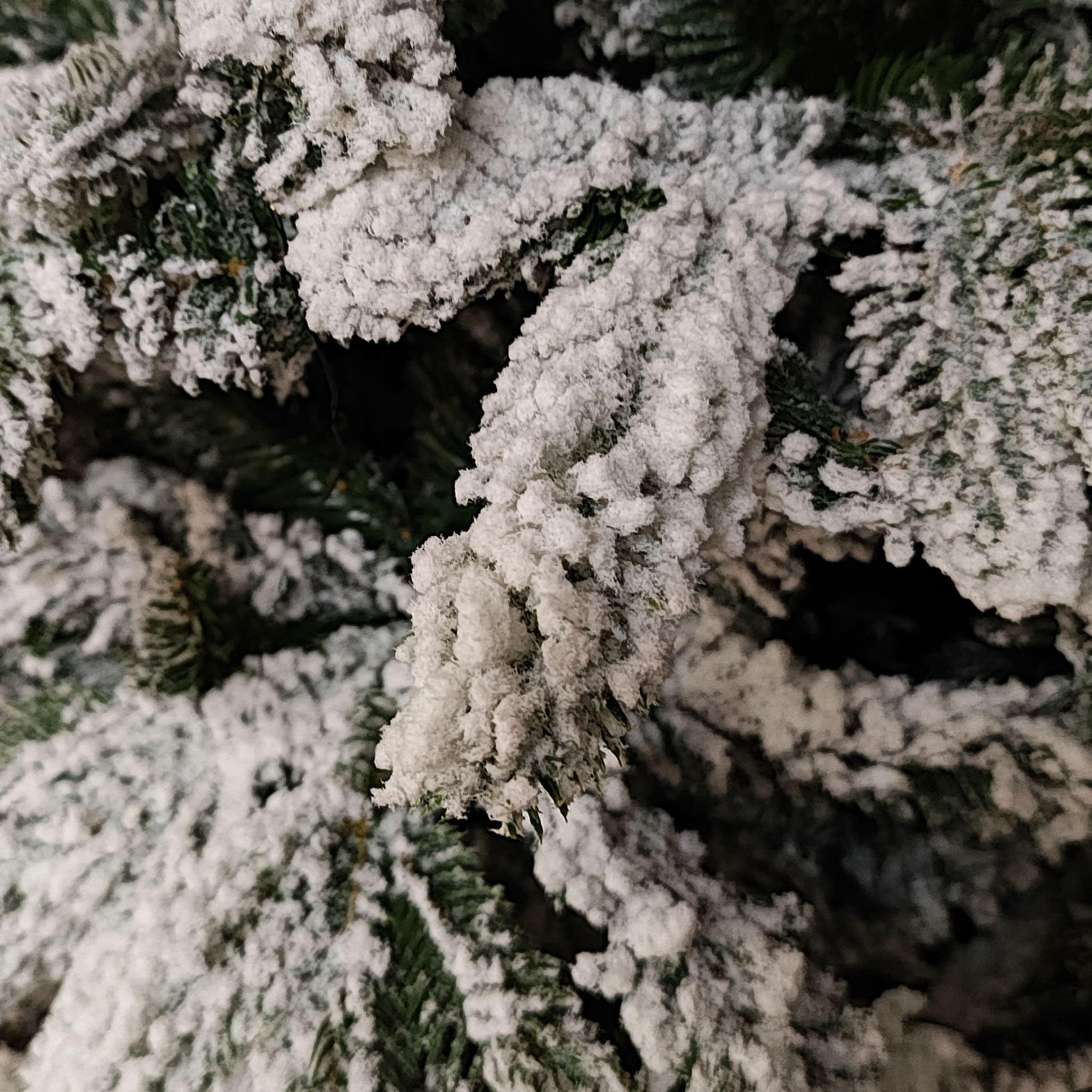 Albero di Natale Baden Innevato 210 cm