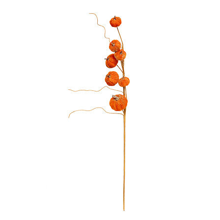 Ramo decorativo con zucche arancioni 60 cm