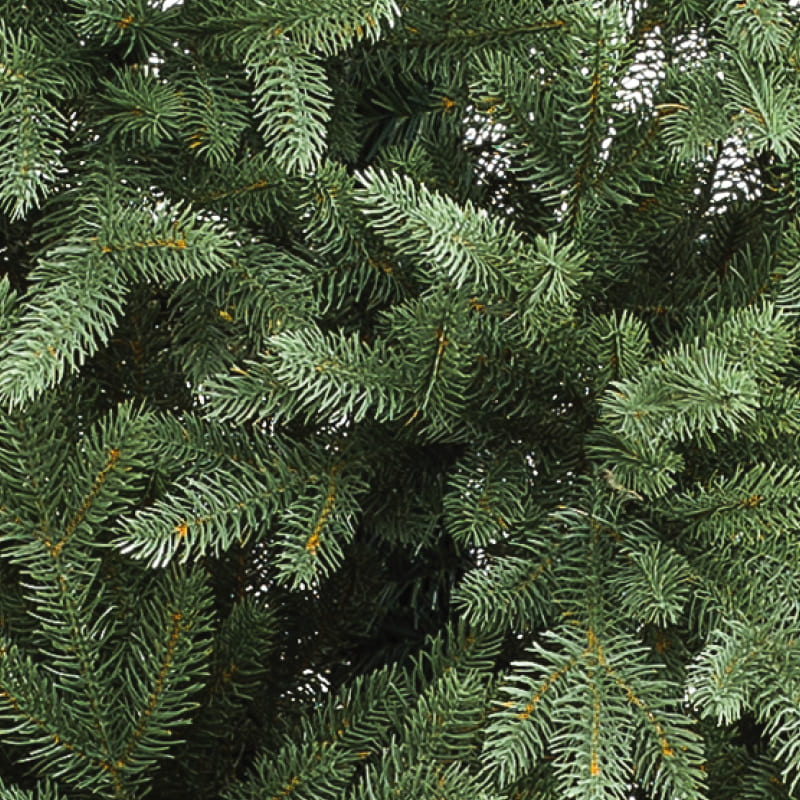 Albero di Natale Lincoln classico 270 cm